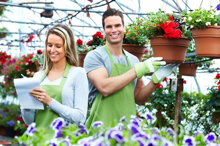 Una solución al problema de asociaciones civiles en México