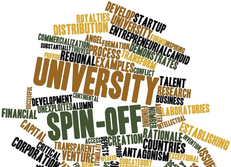 Desarrollo de empresas en base tecnológica, spin off