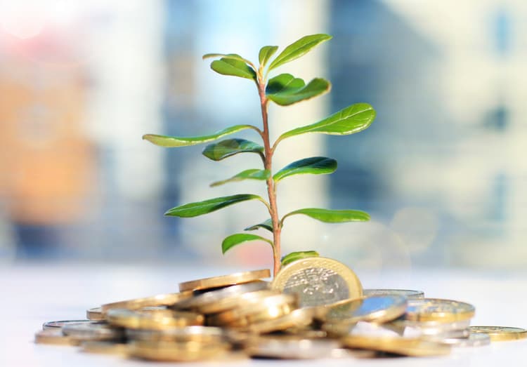 Invierte y haz crecer tu dinero